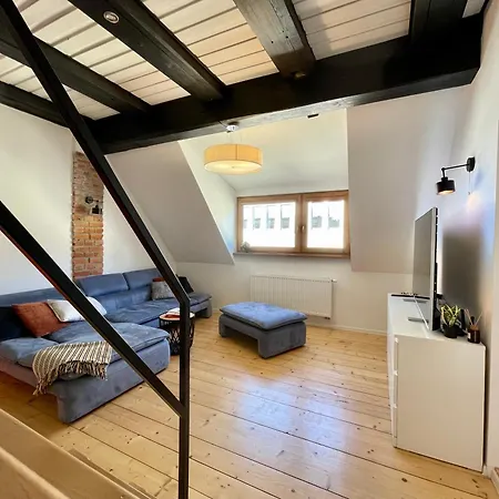 Apartment 93 M2 Kino Na Dachu Rynek *